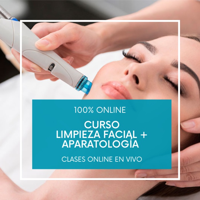 Curso Online Limpieza Facial + Aparatología